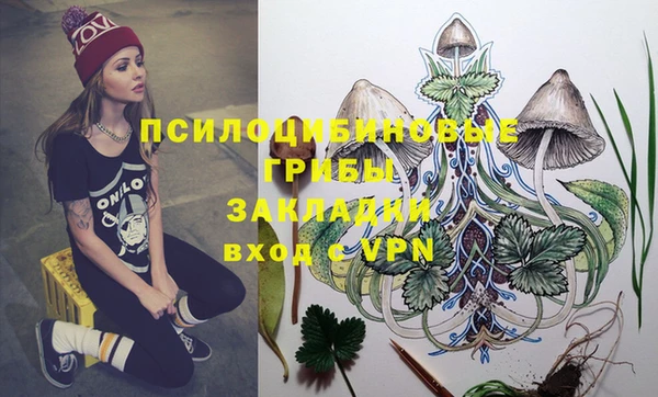 гашик Каменногорск