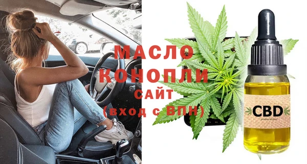 гашик Каменногорск