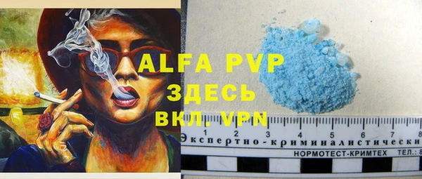 гашик Каменногорск