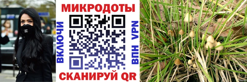 Купить закладки  Заводоуковск  Галлюциногенные грибы Psilocybe 